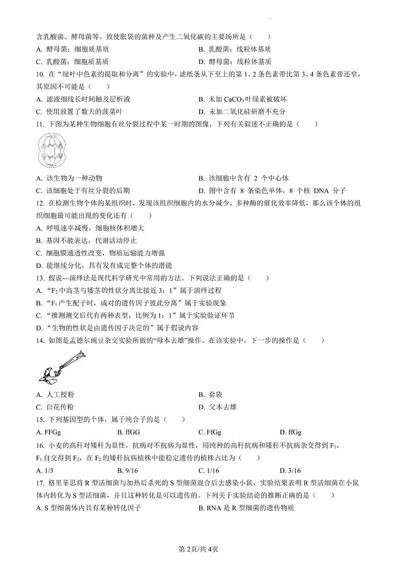 浙江省宁波市正始中学2023-2024学年高一下学期第一次月考生物试卷第2页