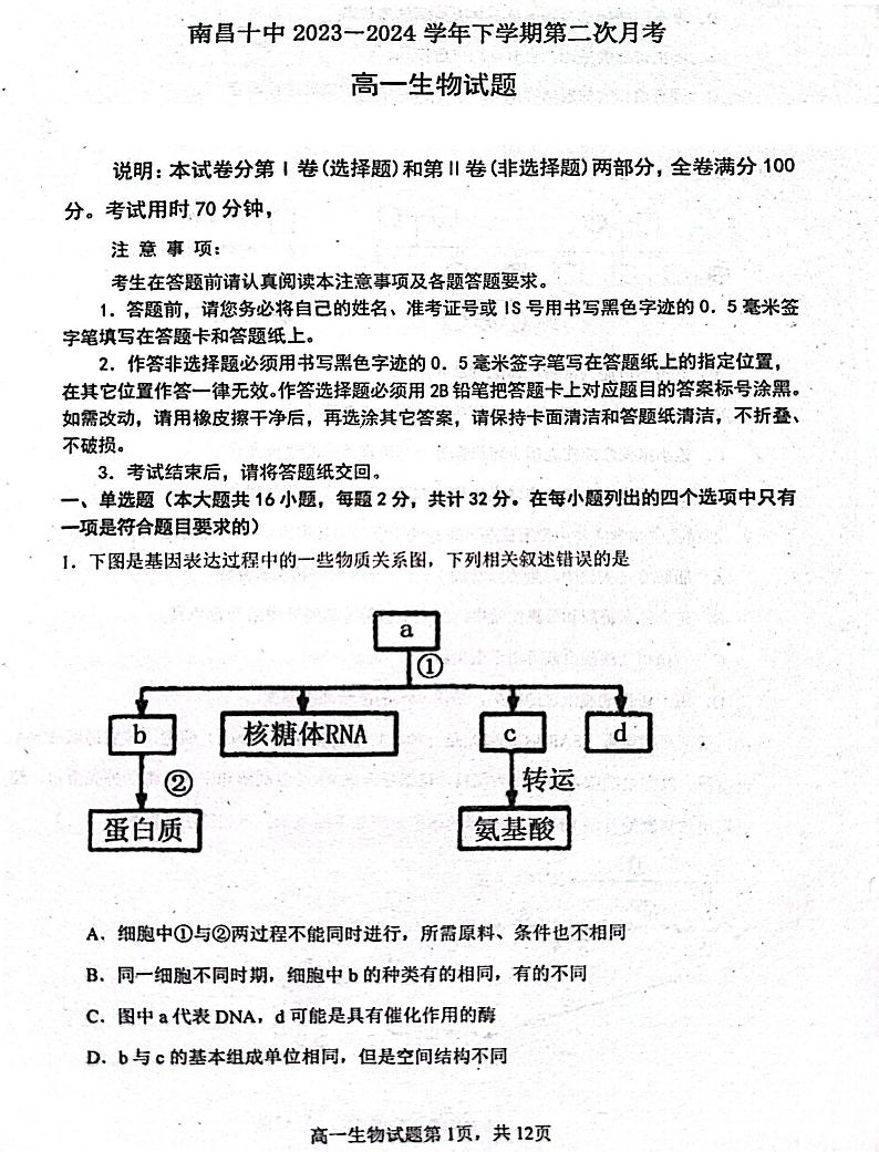 江西省南昌市十中2023-2024学年高一下学期第二次月考生物试题第1页