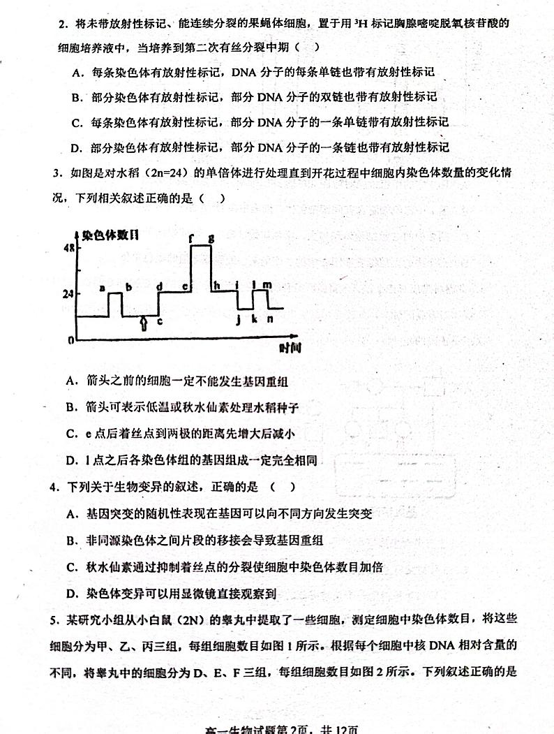 江西省南昌市十中2023-2024学年高一下学期第二次月考生物试题第2页