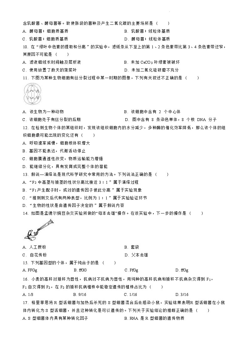 浙江省宁波市正始中学2023-2024学年高一下学期第一次月考生物试卷第2页
