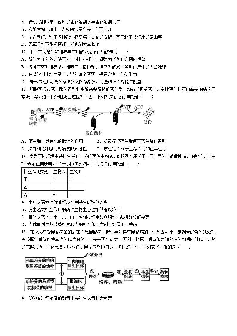 广西玉林市2023-2024学年高二下学期5月五校联考生物试卷（Word版附解析）03