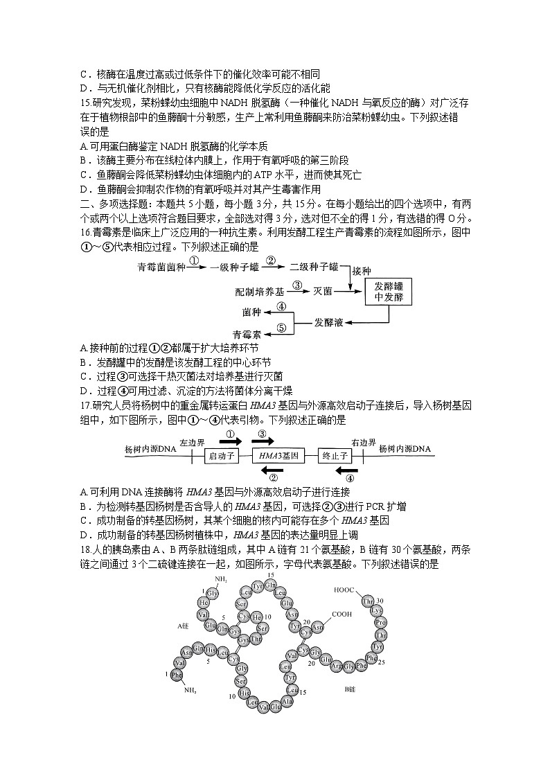 河南省名校联盟2023-2024学年高二下学期5月联考生物试卷（Word版附解析）03
