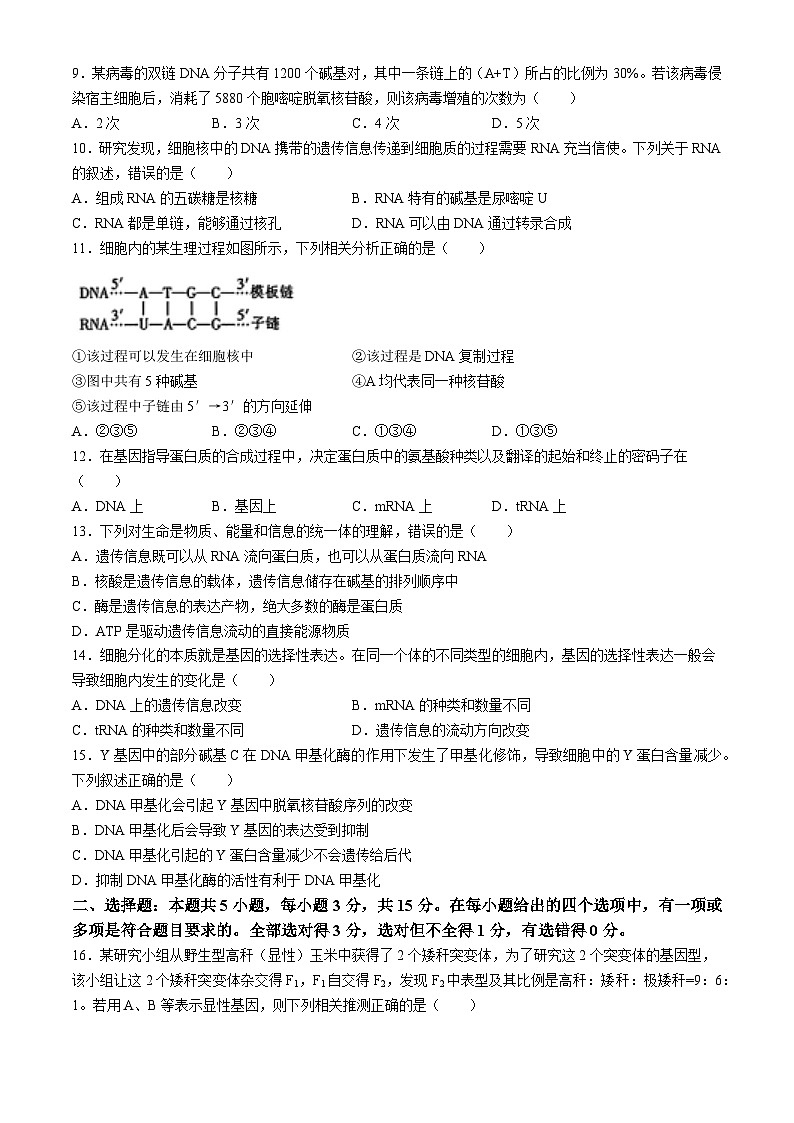 河南省驻马店市经济开发区2023-2024学年高一下学期5月月考生物试卷（Word版附解析）第3页