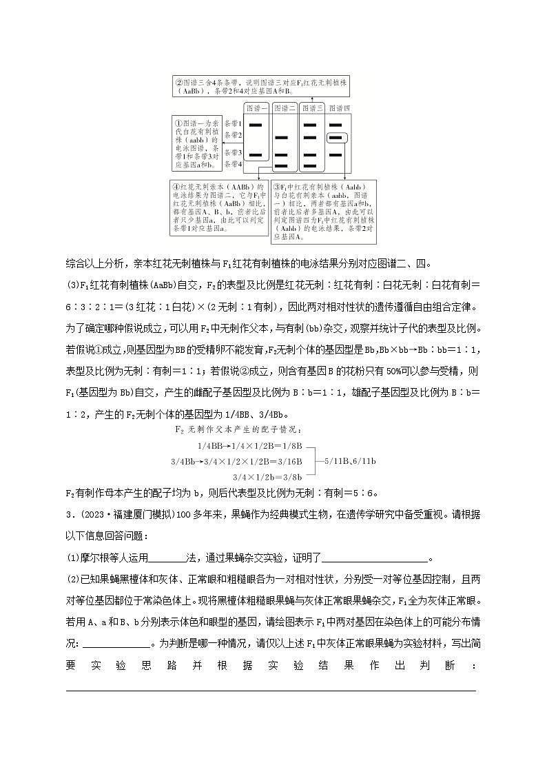 新教材2024届高考生物考前冲刺刷题第3部分专项提升练专项3非选择题必须夯实的5大命题点-2.遗传定律的应用与分析第3页