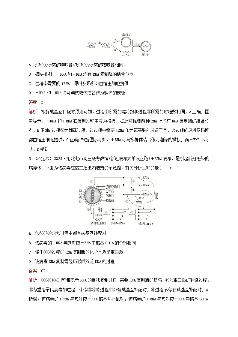 新教材2024届高考生物考前冲刺刷题第2部分易错训练易错训练2遗传与进化模块第3页