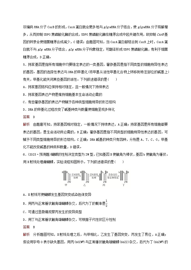新教材2024届高考生物考前冲刺刷题第1部分专题训练专题5遗传的分子基础生物的变异与进化第3页