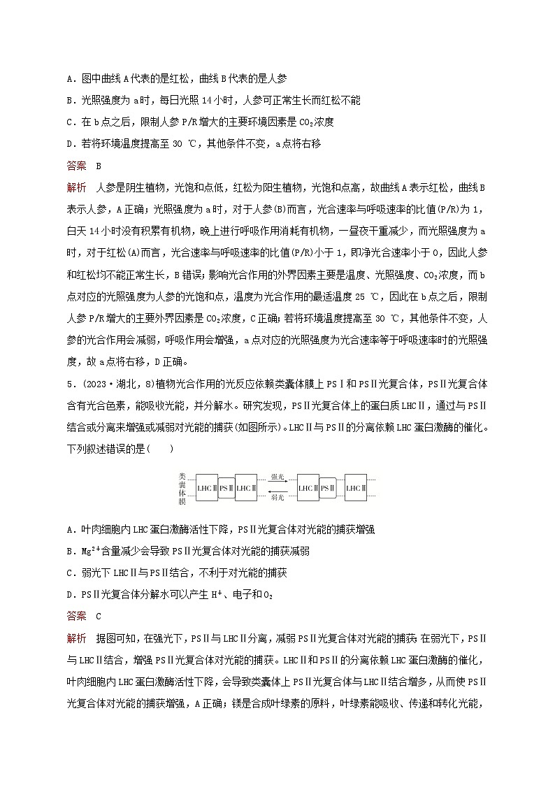 新教材2024届高考生物考前冲刺刷题第1部分专题训练专题2细胞代谢二03