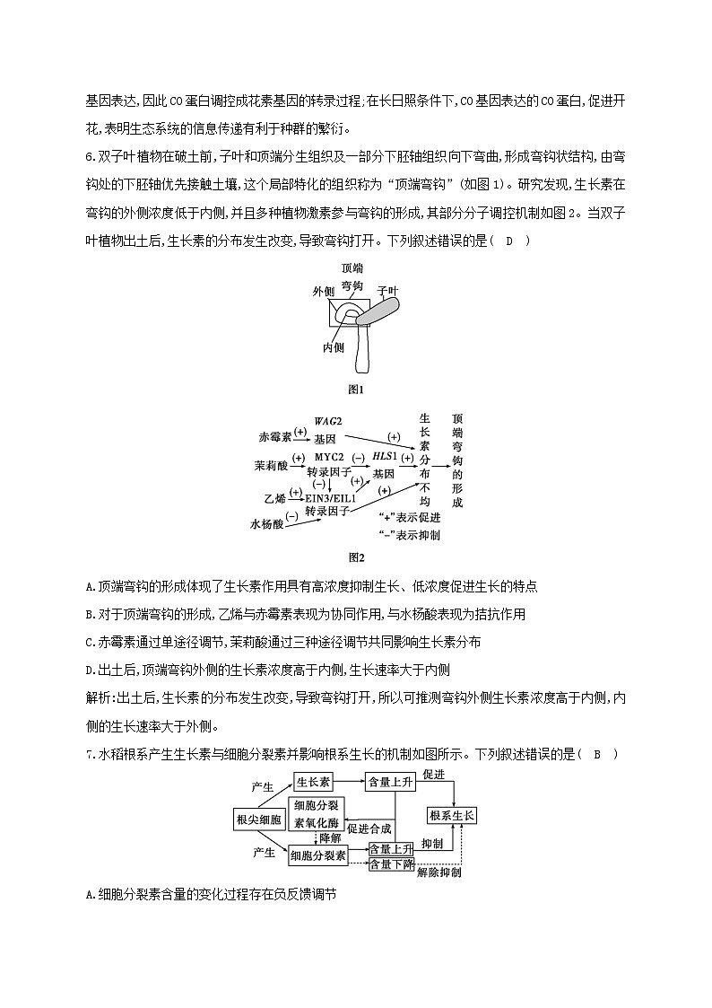 2024届高考生物考前冲刺第1篇专题素能提升专题4调节微专题突破练3植物的激素调节第3页