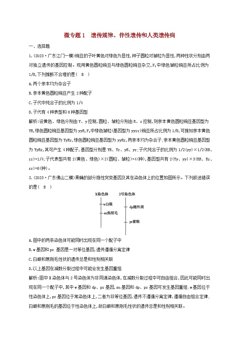 2024届高考生物考前冲刺第1篇专题素能提升专题3遗传微专题突破练1遗传规律伴性遗传和人类遗传病第1页