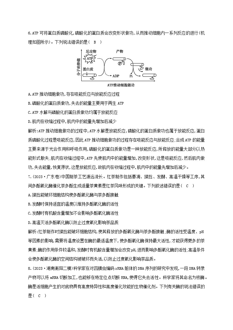 2024届高考生物考前冲刺第1篇专题素能提升专题2代谢微专题突破练1细胞代谢的保障03