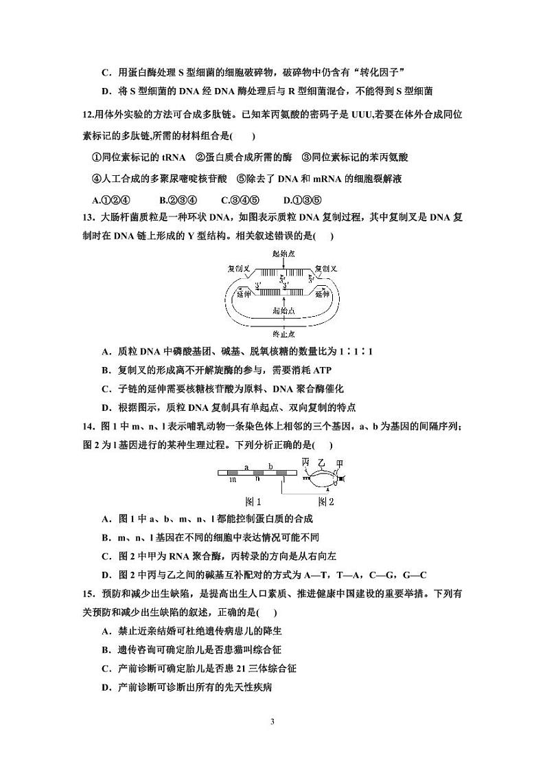 四川省仁寿第一中学北校区2023-2024学年高一下学期5月期中考试生物试题（PDF版附答案）03