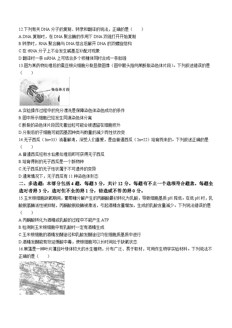 江苏省南通市海安高级中学2023-2024学年高一下学期第二次月考生物试题（含答案）03