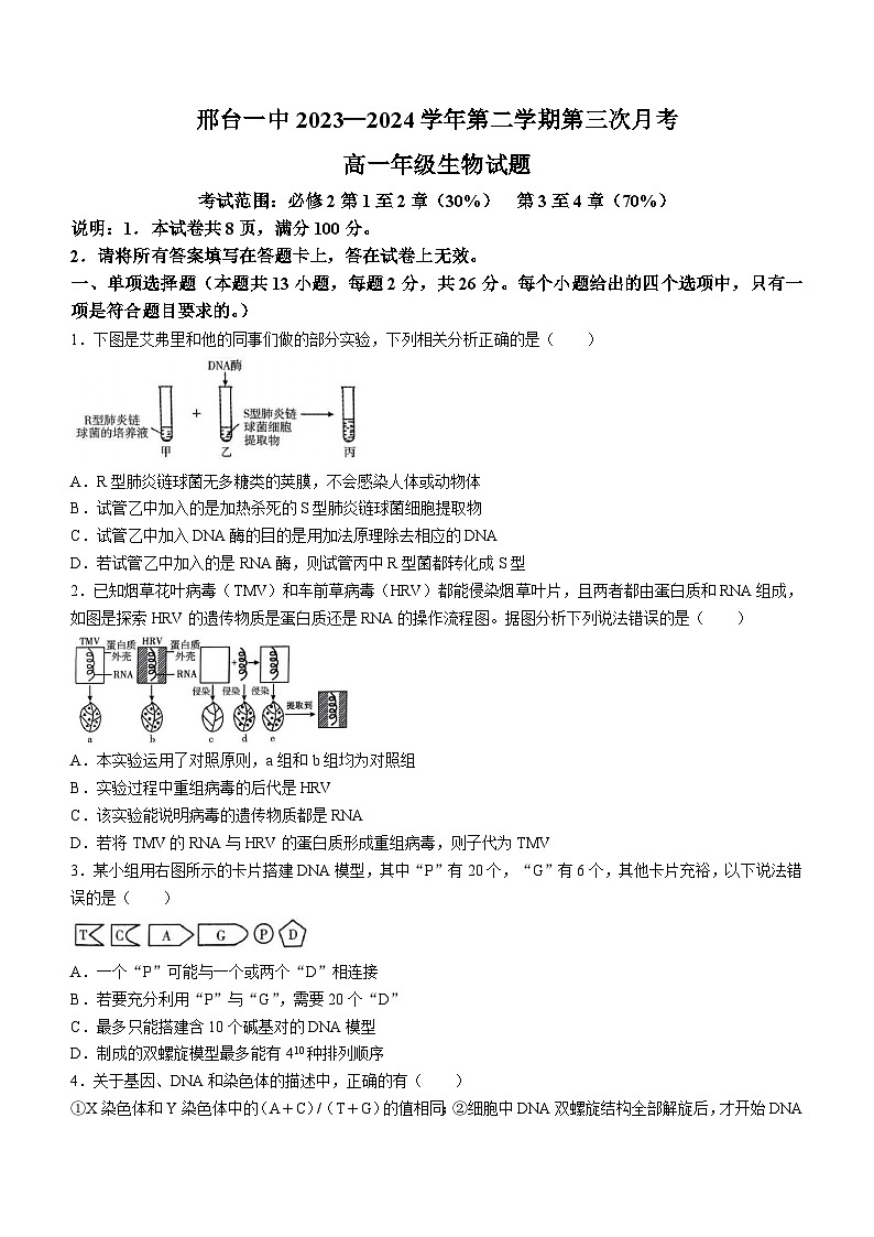 河北省邢台市信都区邢台市第一中学2023-2024学年高一下学期5月月考生物试题（含答案）第1页