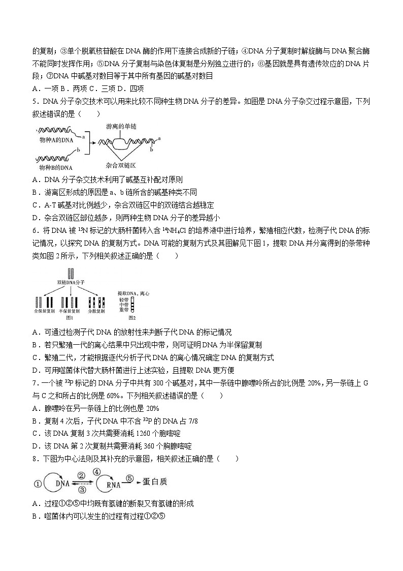 河北省邢台市信都区邢台市第一中学2023-2024学年高一下学期5月月考生物试题（含答案）第2页