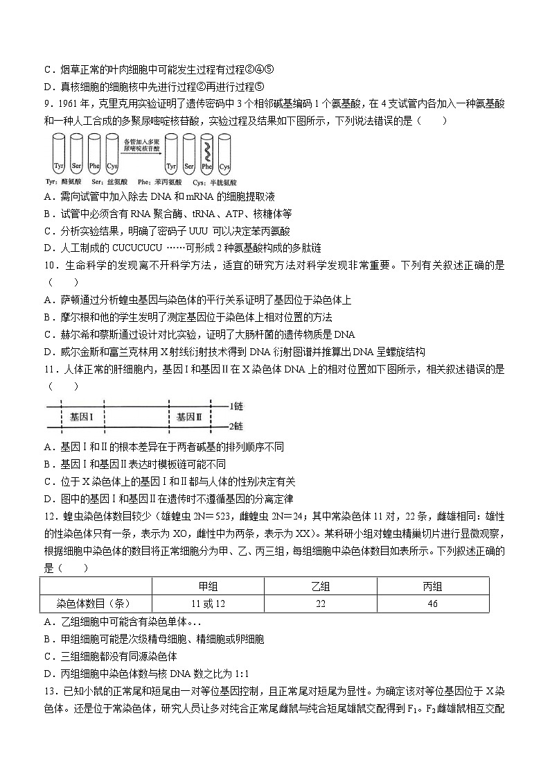 河北省邢台市信都区邢台市第一中学2023-2024学年高一下学期5月月考生物试题（含答案）第3页