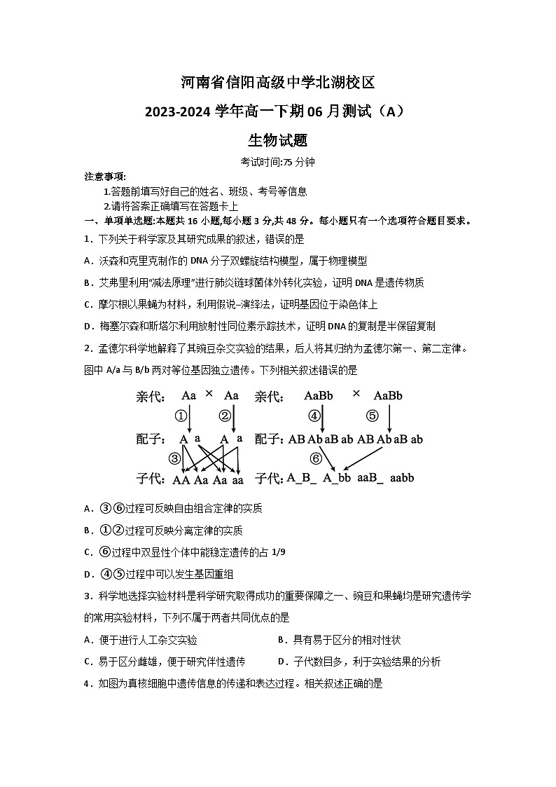 河南省信阳市浉河区信阳高级中学2023-2024学年高一下学期6月月考生物试题（含答案）01