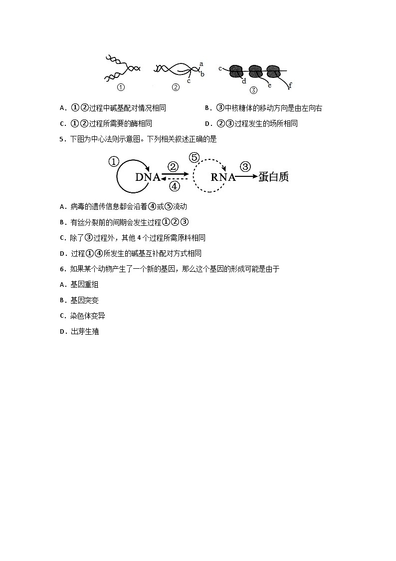 河南省信阳市浉河区信阳高级中学2023-2024学年高一下学期6月月考生物试题（含答案）02