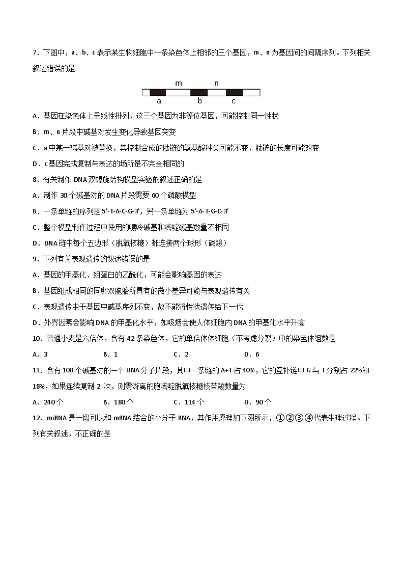 河南省信阳市浉河区信阳高级中学2023-2024学年高一下学期6月月考生物试题（含答案）03