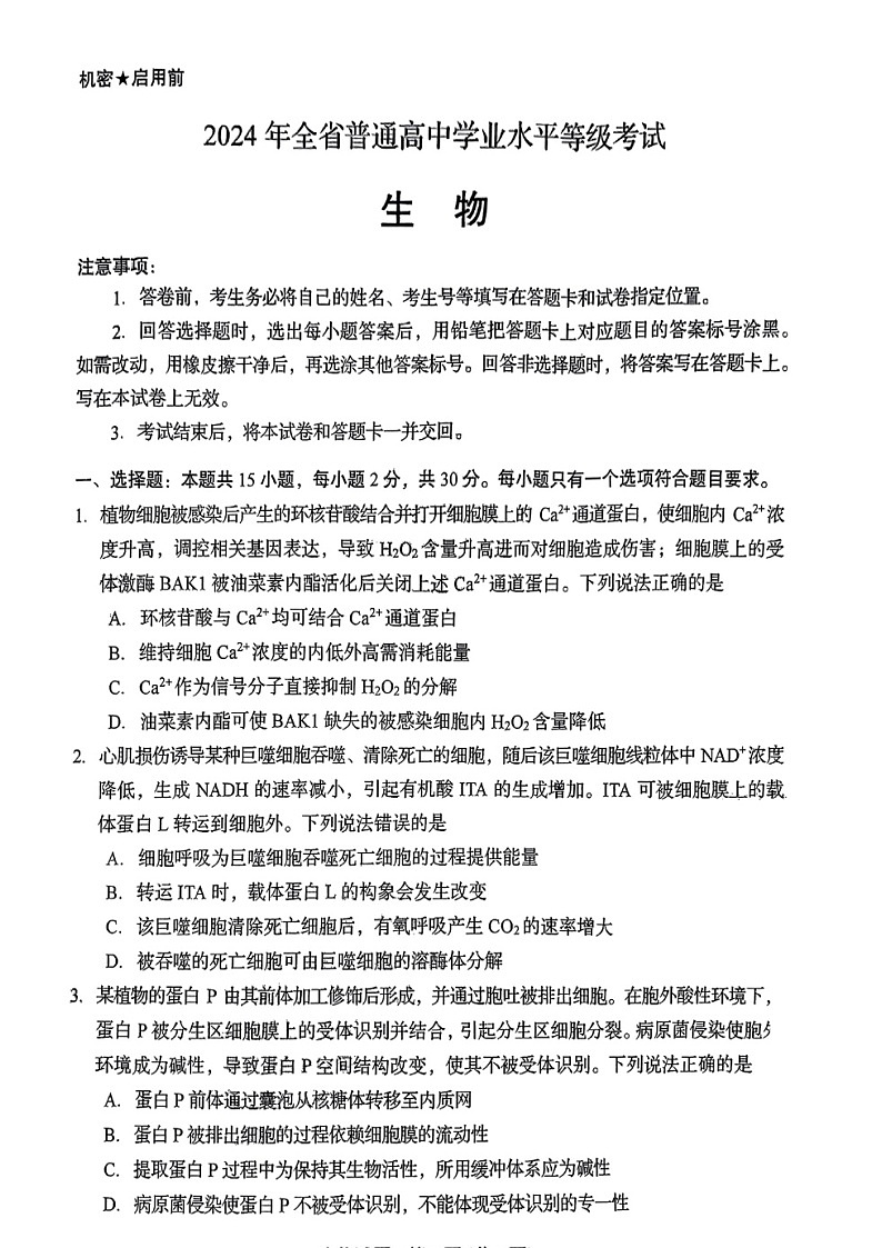 2024年新课标高考真题山东卷生物真题试卷(无答案)01