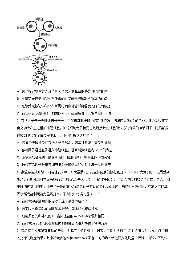 2024届湖北省华中师大一附中高考考前测试生物学试卷无答案第2页