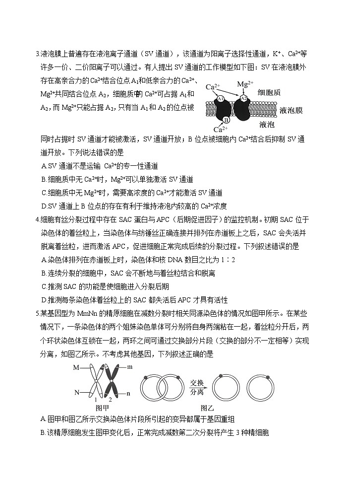 2024泰安肥城届高三下学期三模试题生物含答案第2页