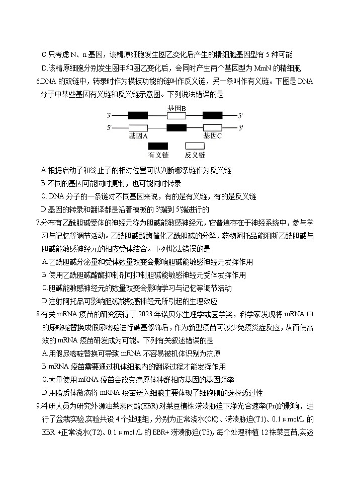 2024泰安肥城届高三下学期三模试题生物含答案第3页