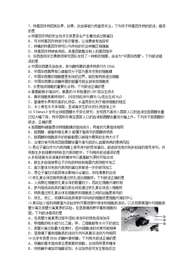 2024河南省名校联盟高二下学期5月联考试题生物含解析第2页