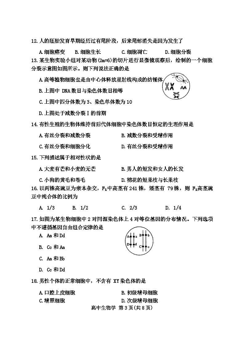 2024届天津市红桥区天津市第五中学高三模拟预测生物试题第3页