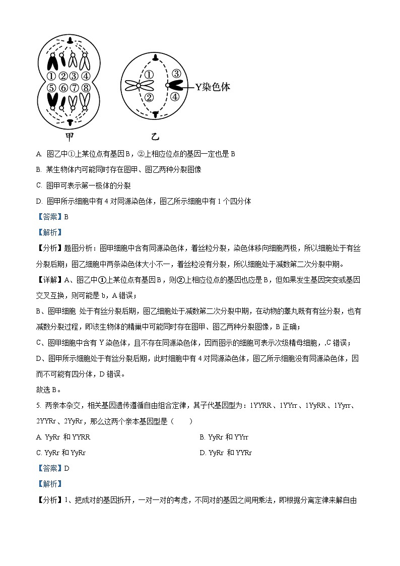 福建省福州市八县市一中2022-2023学年高一下学期期末联考生物试题（Word版附解析）03