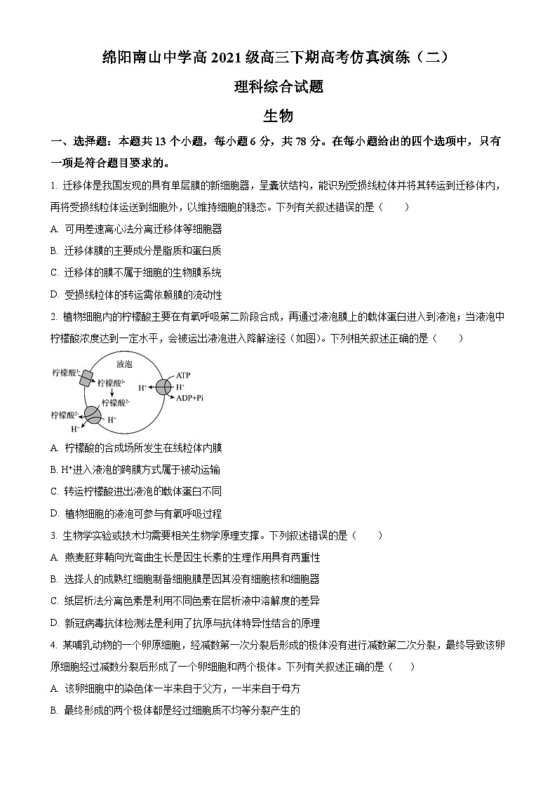 2024届四川省绵阳市涪城区南山中学高三下学期模拟预测理综试题-高中生物 Word版无答案第1页