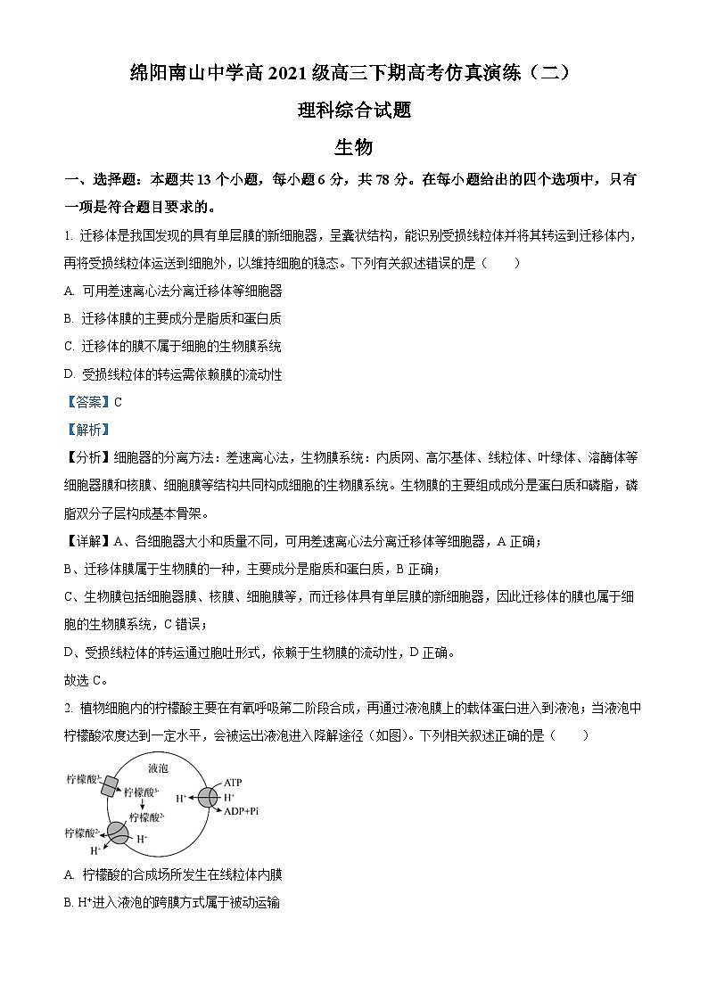 2024届四川省绵阳市涪城区南山中学高三下学期模拟预测理综试题-高中生物 Word版含解析第1页