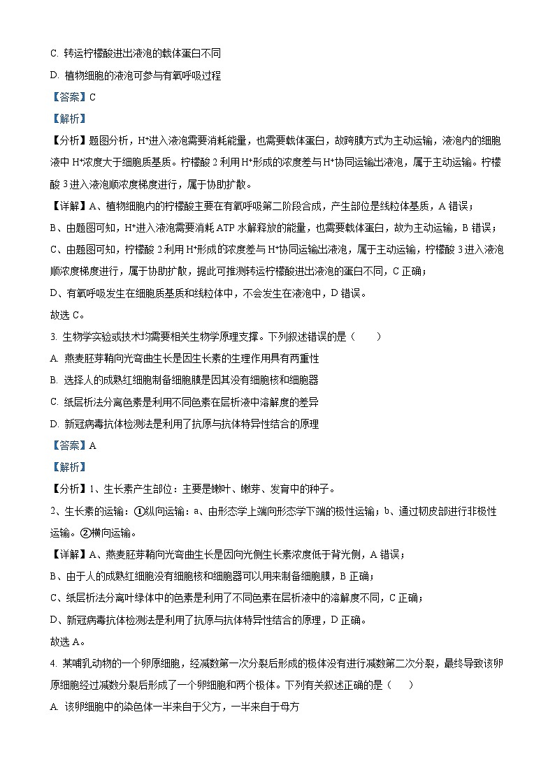 2024届四川省绵阳市涪城区南山中学高三下学期模拟预测理综试题-高中生物 Word版含解析第2页