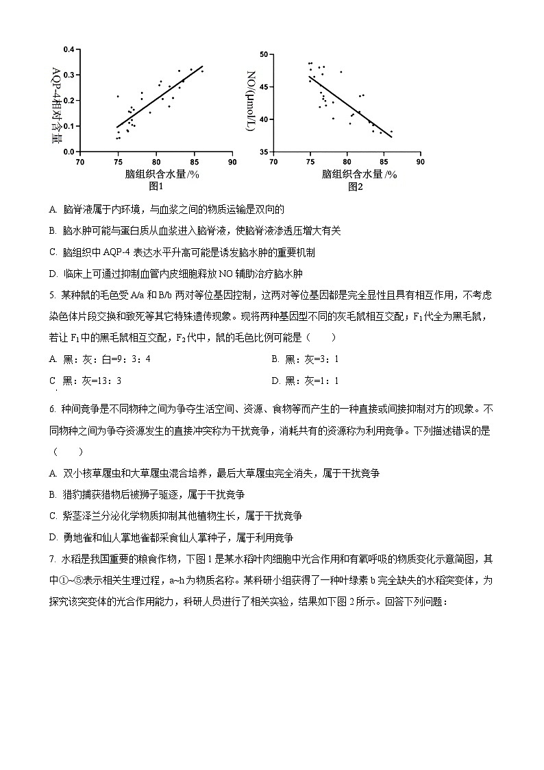 2024届四川省成都市树德中学高三下学期适应性考试理科综合试题-高中生物 Word版无答案第2页