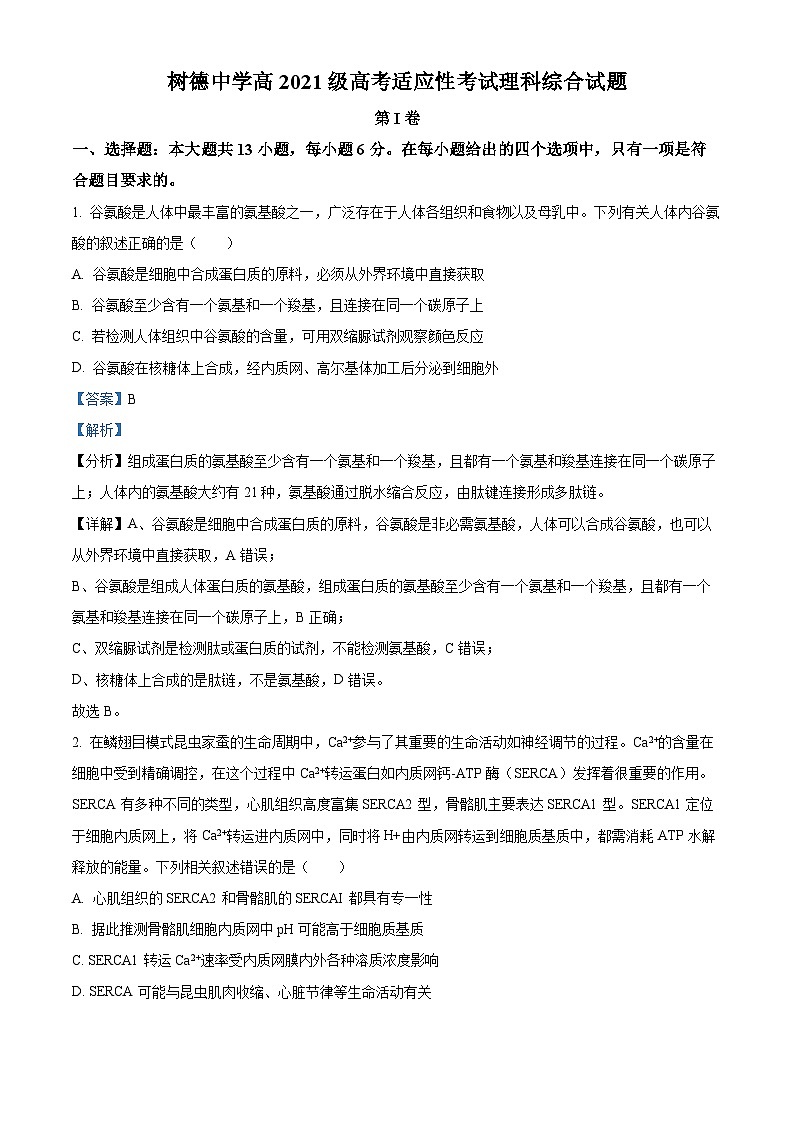 2024届四川省成都市树德中学高三下学期适应性考试理科综合试题-高中生物 Word版含解析第1页
