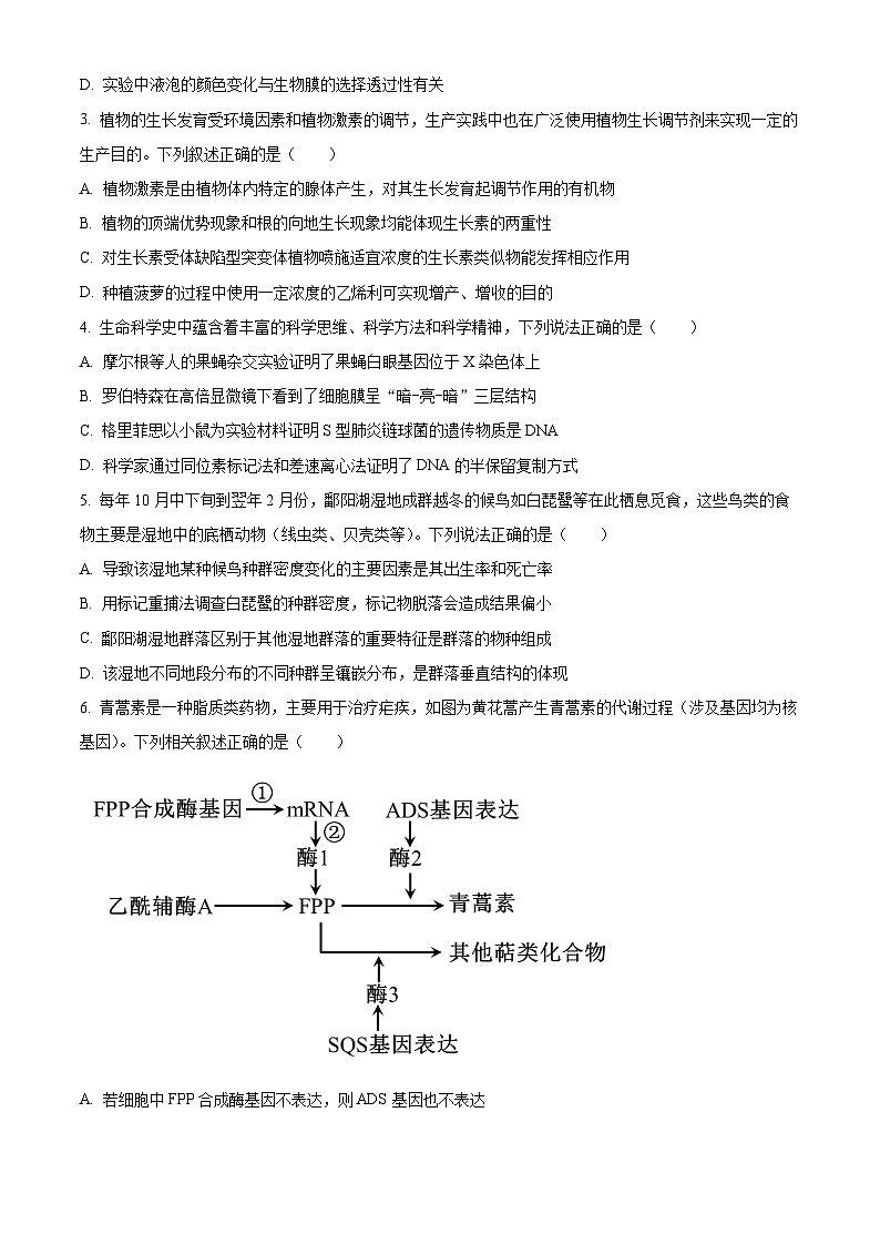 2024届四川省成都石室中学高三下期适应性考试（二）理科综合试卷-高中生物 Word版无答案第2页