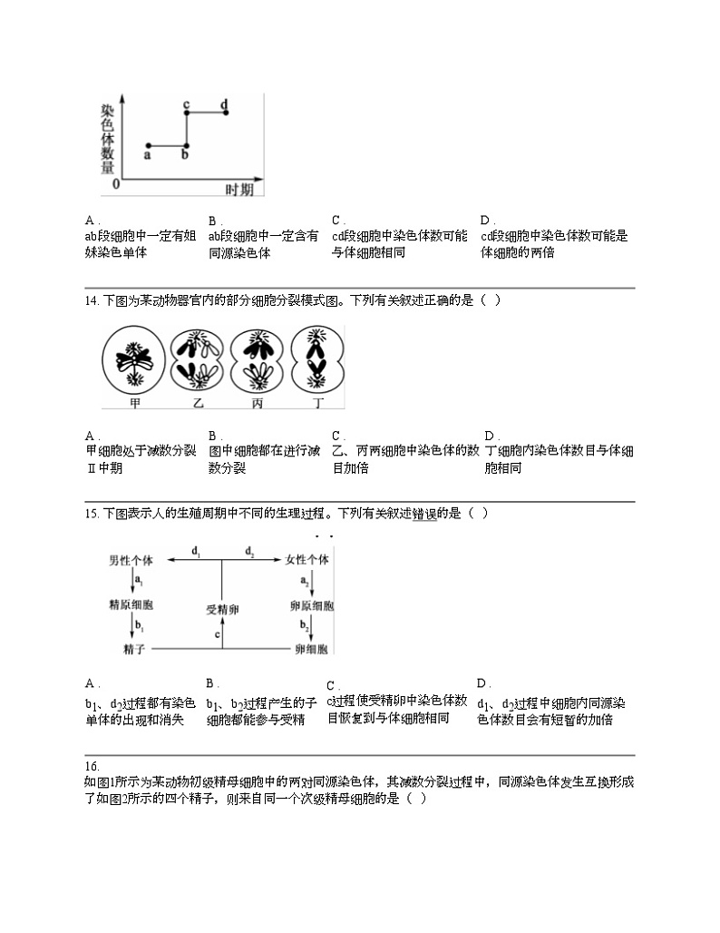 【生物】广东省深圳市名校联考2023-2024学年高一下学期生物学期中考试试卷03