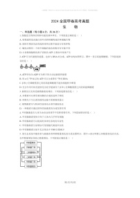 【生物】2024全国甲卷高考真题生物试卷及答案