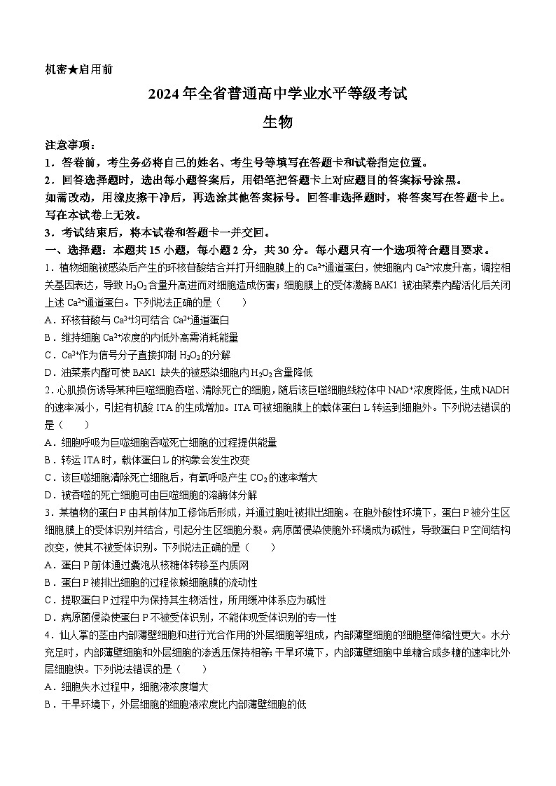 2024年新课标高考山东卷生物真题(无答案)01