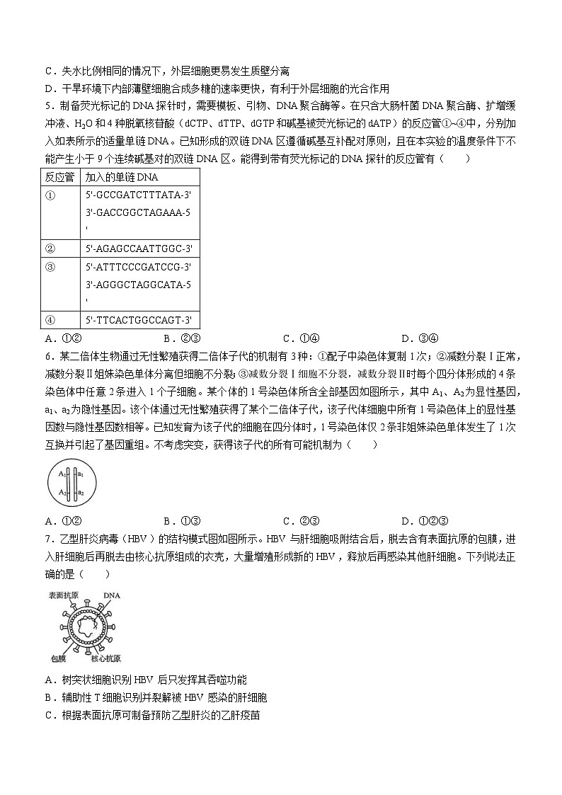 2024年新课标高考山东卷生物真题(无答案)02