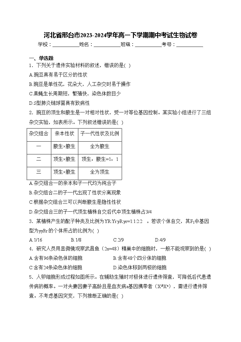 河北省邢台市2023-2024学年高一下学期期中考试生物试卷(含答案)01