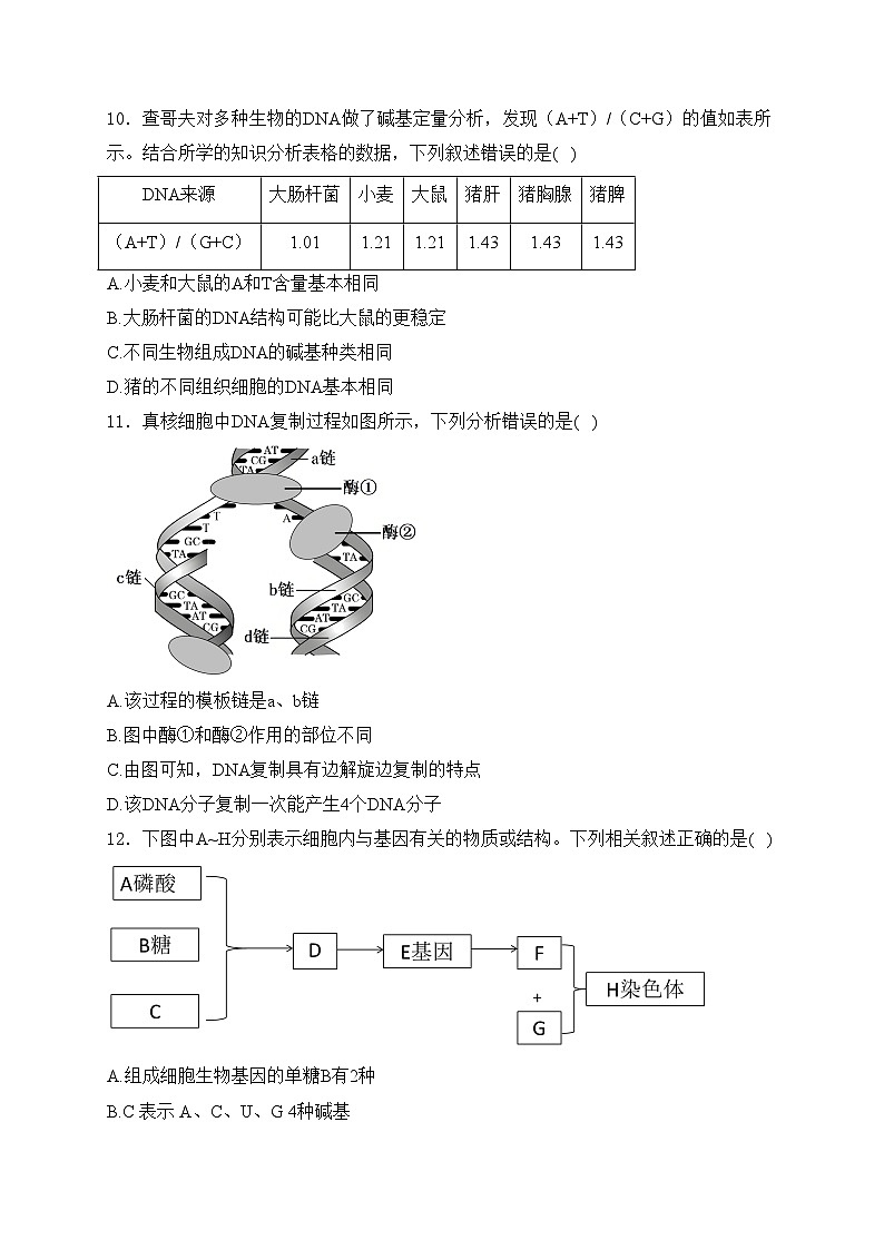 河北省邢台市2023-2024学年高一下学期期中考试生物试卷(含答案)03