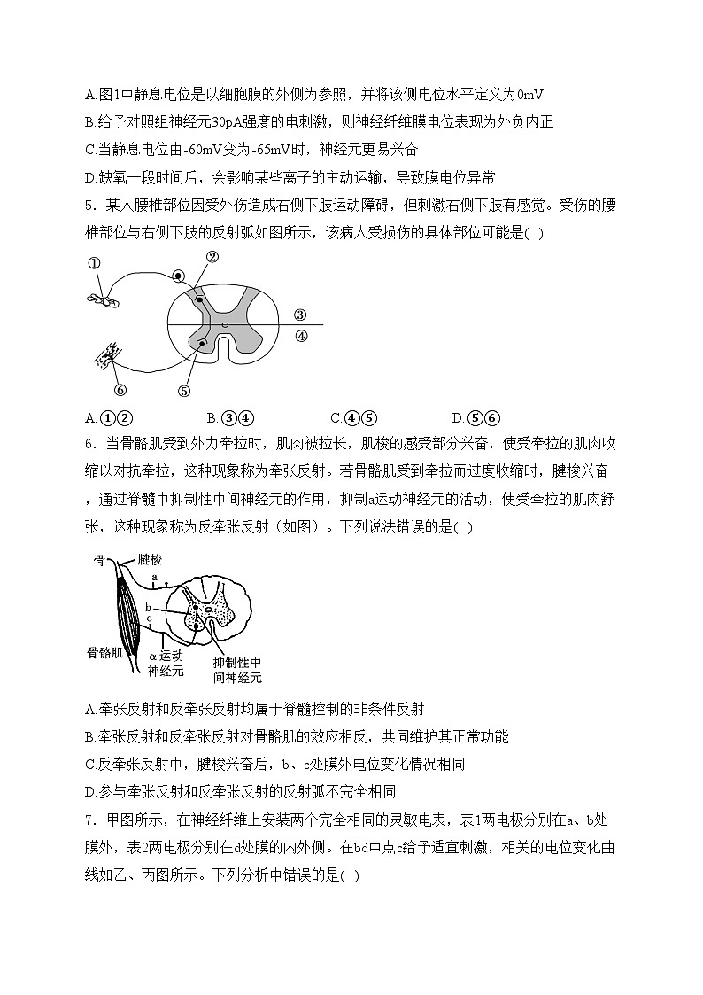山东省临沂市沂水县2023-2024学年高二上学期期中考试生物试卷(含答案)03