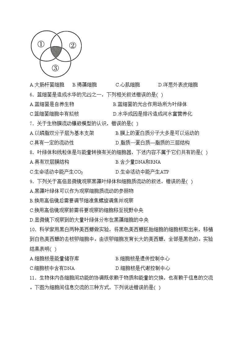 山西省阳泉市2023-2024学年高一上学期期末教学质量监测生物试卷(含答案)02