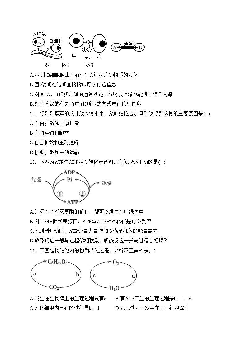 山西省阳泉市2023-2024学年高一上学期期末教学质量监测生物试卷(含答案)03
