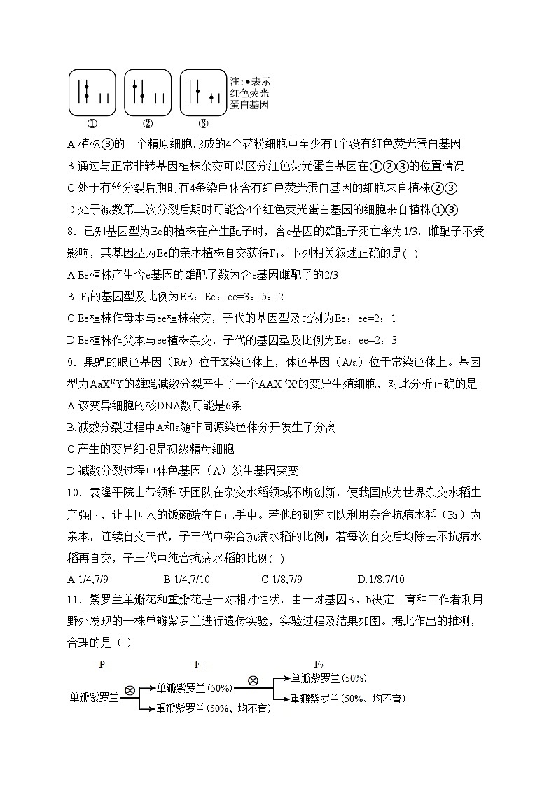 商丘市第一高级中学2024届高三上学期10月份月考生物试卷(含答案)03