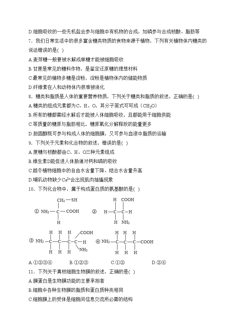 四川省双流棠湖中学2023-2024学年高一上学期期中生物试卷(含答案)02