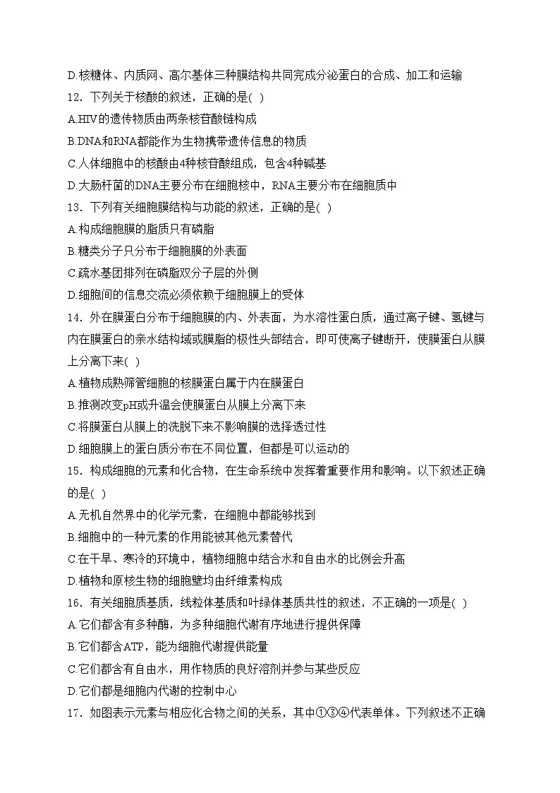 四川省双流棠湖中学2023-2024学年高一上学期期中生物试卷(含答案)03