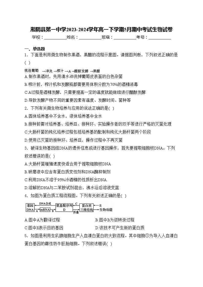湘阴县第一中学2023-2024学年高一下学期5月期中考试生物试卷(含答案)01