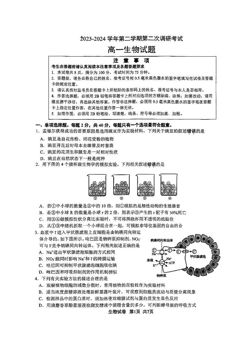 江苏省连云港市连云区连云港高级中学2023-2024学年高一下学期6月月考生物试题第1页