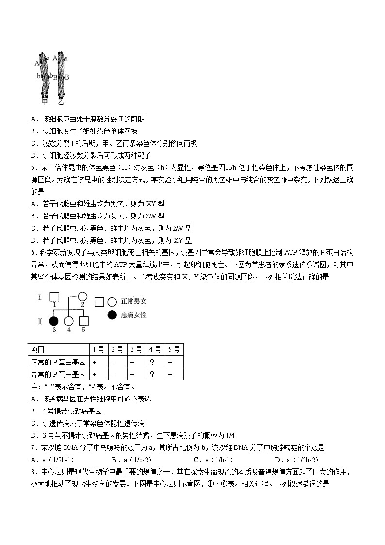 吉林省部分名校2023-2024学年高一下学期期末联合考试生物试题（含答案）第2页